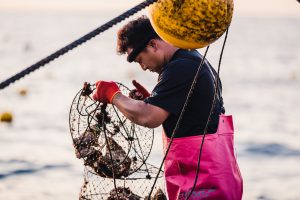 真鶴漁師の岩牡蠣養殖の挑戦｜真鶴岩カキ養殖プロジェクト